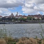 of pierogi and cherry vodka.