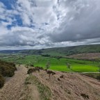 wandering: the mountain edition.